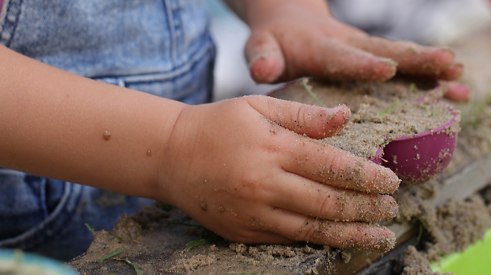 Toscana, tutti i numeri di Nidi Gratis. Le domande delle famiglie suddivise per provincia