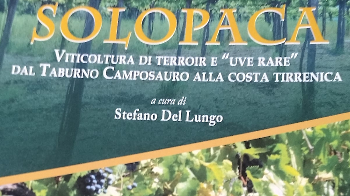 Il libro Solopaca