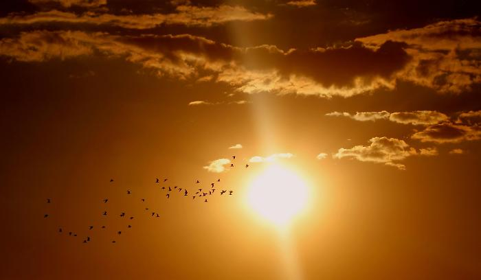 Meteo in Maremma, temperature in aumento e più sole nella prossima settimana. Ma è prevista anche qualche pioggia