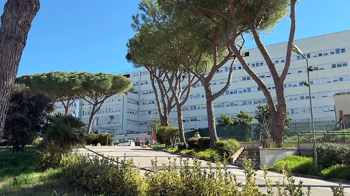 Grosseto, turismo estivo e sanità al collasso: Ulmi (Merito e lealtà) propone una soluzione