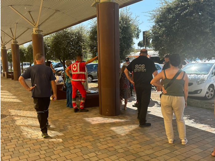 investe cane e fugge aurelia antica