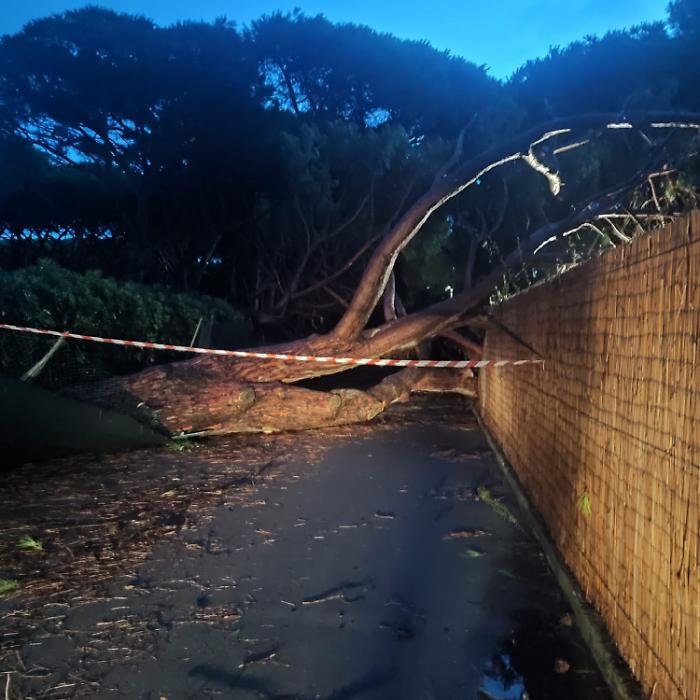 Orbetello, danni da maltempo: il comune apre il Coc