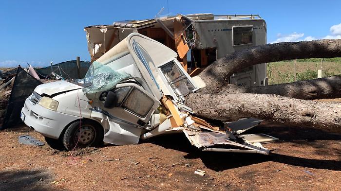 Albinia, camper diviso a metà da un pino: è successo ieri sera in un campeggio