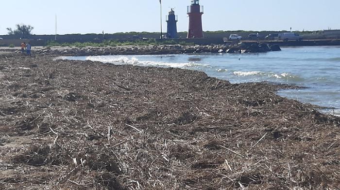 spiaggia cannucce castiglione della pescaia