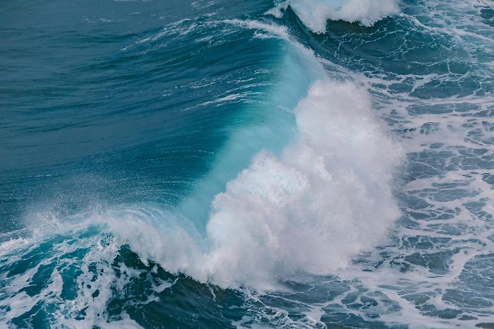 mare
