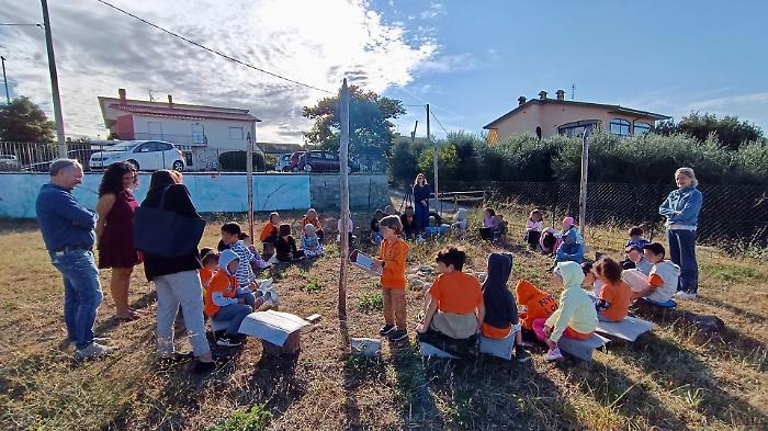 pieraccini scuola montenero