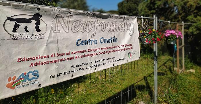 Gavorrano, ottobre mese intenso per le tante attività del Centro Cinofilo Newfoundly