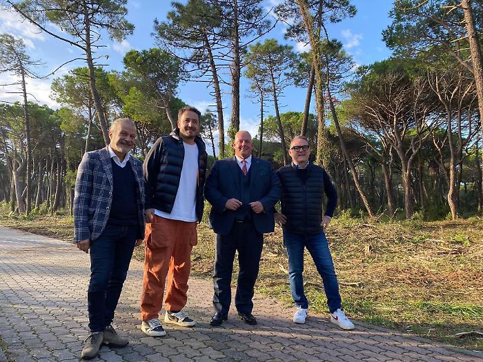 Marina di Grosseto, 185 mila euro per salvare la pineta maremmana dal rischio incendi