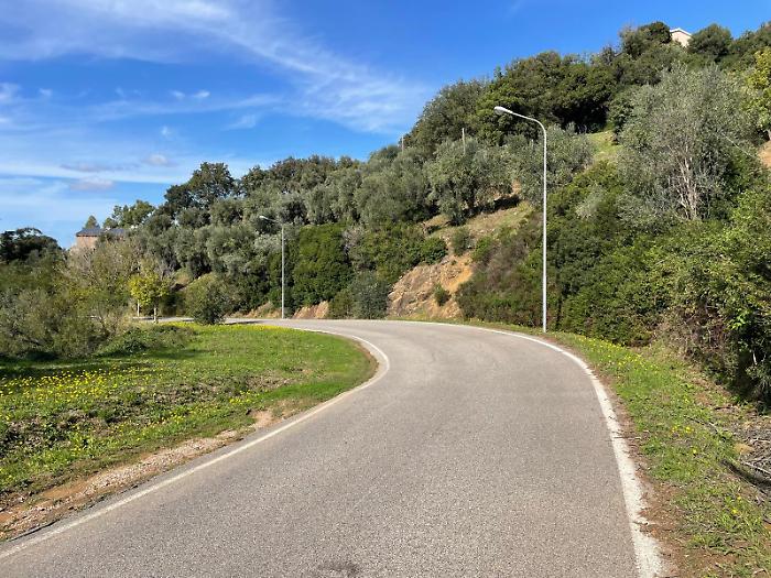 strada panoramica scarlino