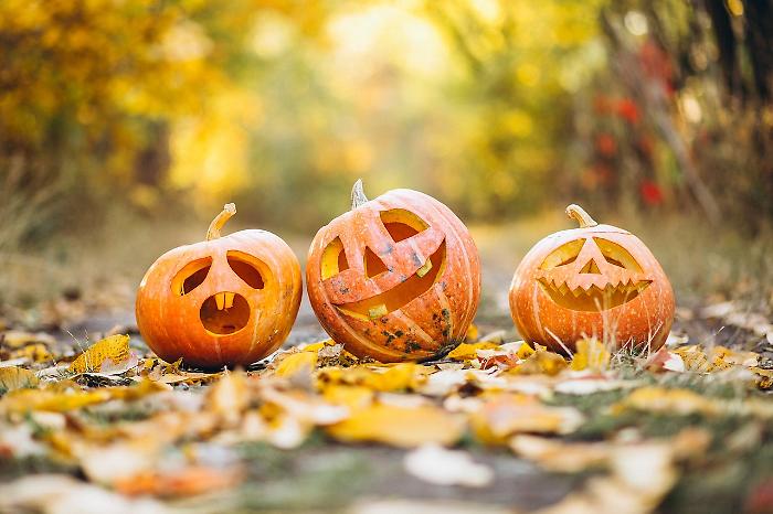 Grosseto, Halloween si o Halloween no: il Comune propone un menù nelle scuole per festeggiare l'occasione