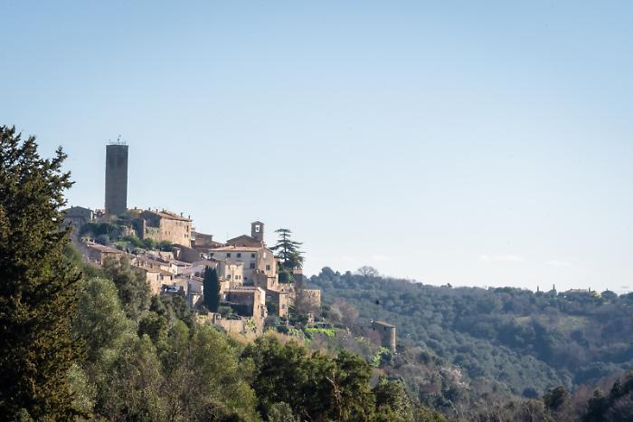 Magliano in Toscana, l'olio nuovo protagonista per 4 giorni di stand, degustazioni e visite guidate