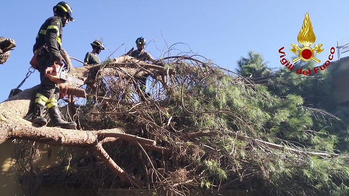 L'intervento dei Vigili del Fuoco di Orbetello