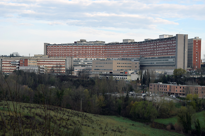 Scotte siena