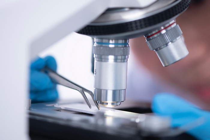 Salmonellosi, 63 casi in alcune scuole dell'Umbria, sotto accusa il farro con pomodorini e pesto