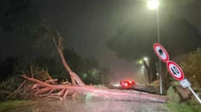 Maltempo, notte di problemi per il vento con alberi caduti e black out: colpito in particolare il Casentino