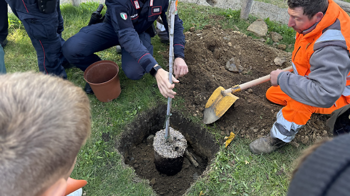 Manciano, a salvare il pianeta ci pensano i bambini della scuola di via Turati: piantata una sughera in giardino