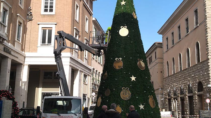 L'installazione dell'albero di Natale a Grosseto