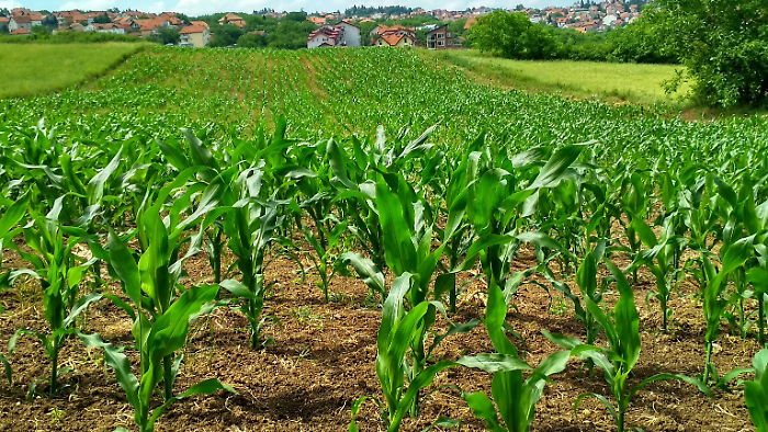 Distretto Biologico della Maremma Toscana 