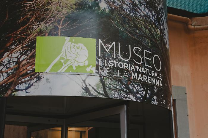 Grosseto, si parla di archeologia e paleontologia al Museo di storia naturale della Maremma