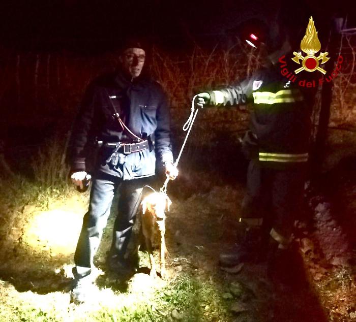 Magliano in Toscana, cane intrappolato in un canale irriguo di 40 cm, salvato dai vigili del fuoco
