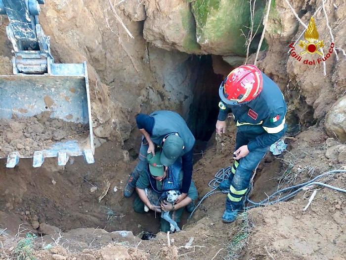 Semproniano, cane cade in un crepaccio di 8 metri: 7 ore di lavoro dei vigili del fuoco per recuperarlo