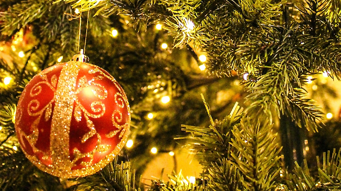 Contest social dedicato agli alberi di Natale dell'Aurelia Antica