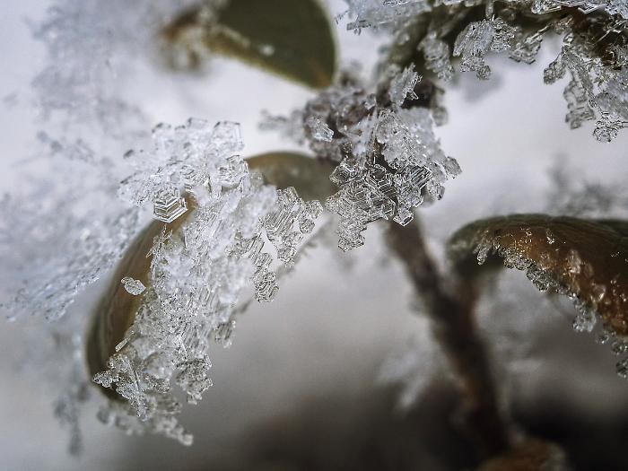 Maremma, attenzione al ghiaccio: c'è l'allerta meteo della Regione Toscana