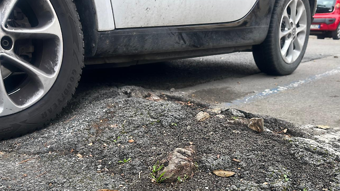 "Tagli per tre milioni di euro alla manutenzione delle strade in Maremma": l'appello di Noc ai parlamentari locali