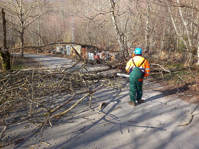 Monte Amiata, ancora vento forte e caduta di rami e alberi: operai a lavoro per liberare le strade