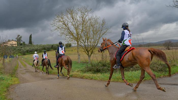 Massa Marittima, la prima tappa del Campionato Regionale Endurance 2025 è un successo
