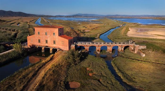 Castiglione della Pescaia, ornitologo per un giorno: un laboratorio gratuito alla scoperta degli uccelli