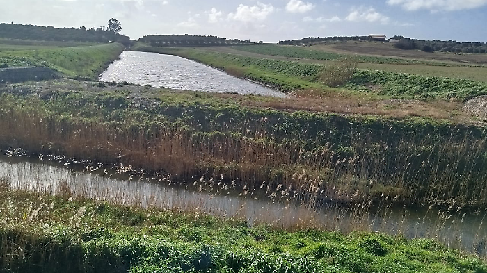 Fosso delle Basse