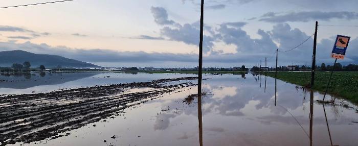 Albinia, 20 poderi allagati a causa del maltempo: caduti 133 mm di pioggia in meno di 4 ore