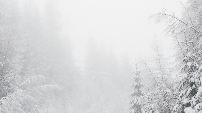 Codice giallo per neve 