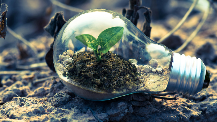 Premio Impresa Sostenibile – Anno 2025 