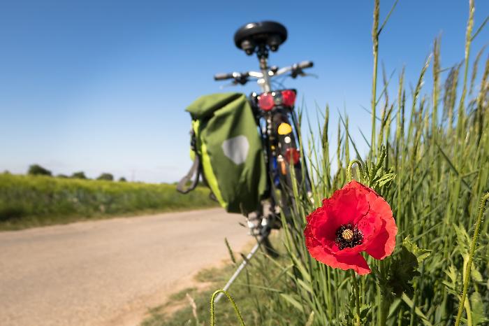 Follonica, ciclovia tirrenica: pubblicato il bando per la realizzazione del Lotto 