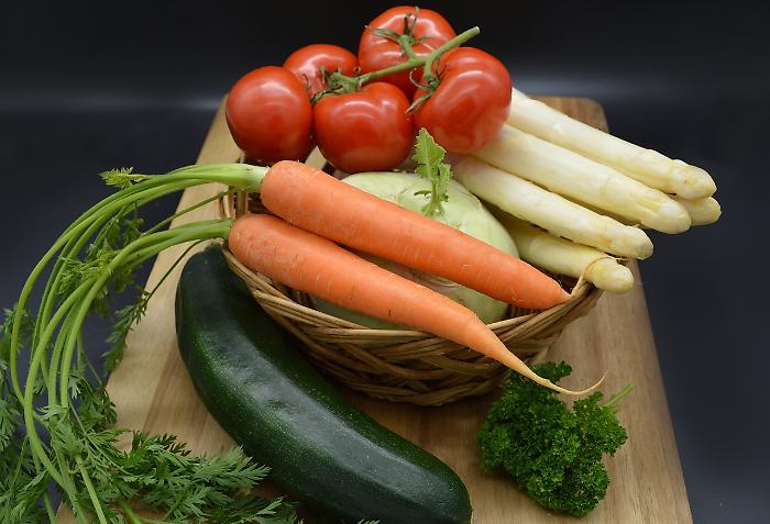 Grosseto, opportunità per le aziende agricole della Maremma: al via un bando