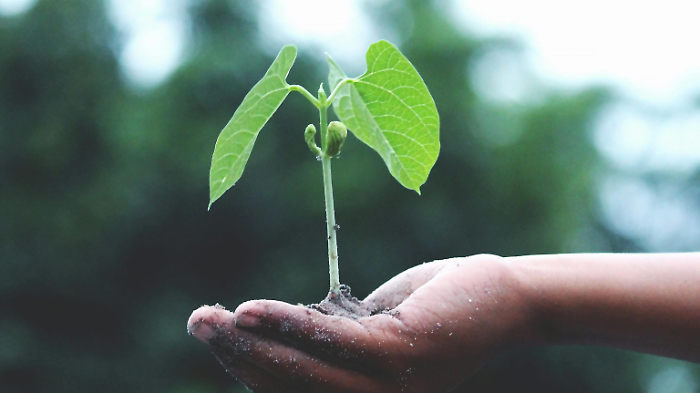 Bando regionale Investimenti nelle aziende agricole per la diversificazione in attività non agricole