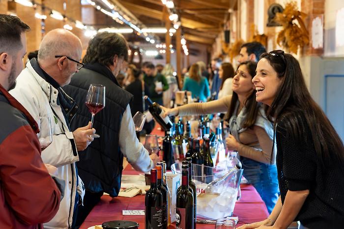 MareMMMa, la natura del vino: arriva la sesta edizione da record con 592 vini in degustazione