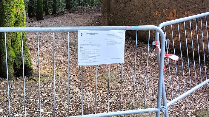 Derattizzazione Massa Marittima