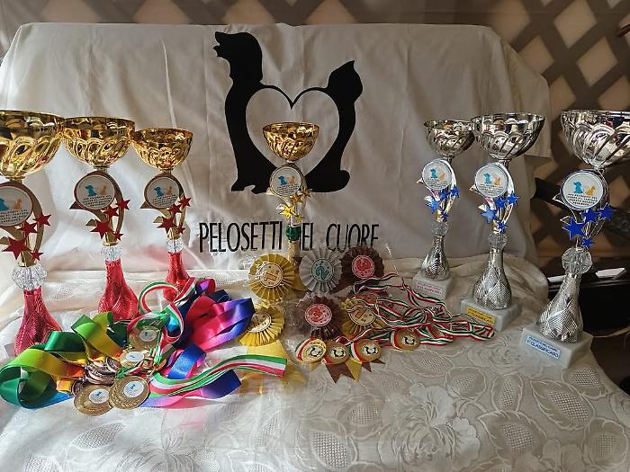 Ritorna il campionato espositivo cinofilo amatoriale di APS Pelosetti nel cuore, con tanti premi per amici a 4 zampe