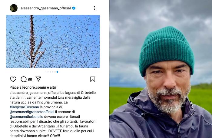Alessandro Gassmann si schiera contro l'emergenza moscerini in Laguna: appello alle istituzioni per salvare l'ambiente