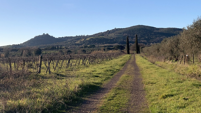 Un tratto del progetto 'Via delle Città Etrusche'