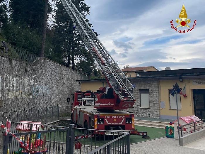 Evacuazione alla scuola materna a causa di alberi pericolanti, intervengono i vigili del fuoco