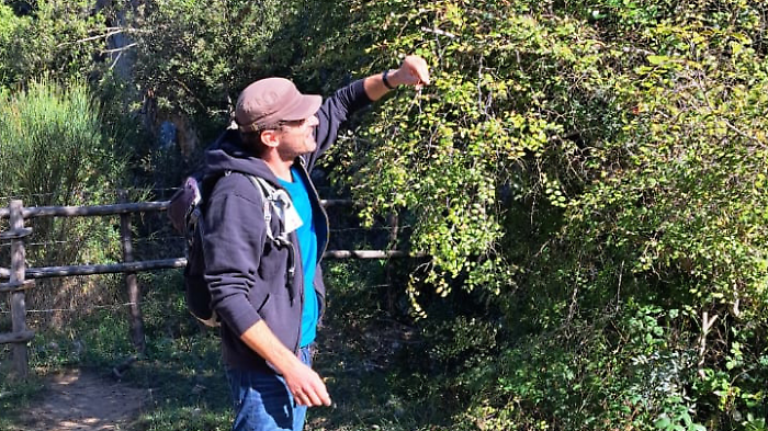 Un'escursione al Parco della Maremma
