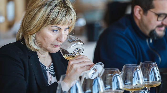 La top ten dei Vermentini della Doc Maremma Toscana: saranno in degustazione a Vinitaly