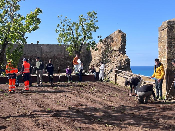 Il Giardino dei Frati rinasce, studenti e Comune uniti per un verde urbano sostenibile 