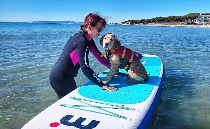 Un corso di Dog SUP organizzato dal Centro Cinofilo Newfoundly