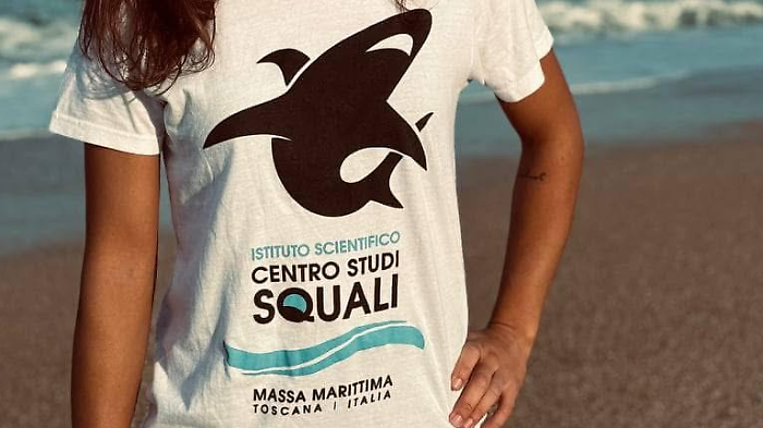 Centro Studi Squali - Istituto Scientifico Massa Marittima 