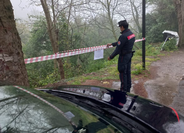 Scoperto smaltimento illegale di rifiuti in un bosco: impresa edile nei guai a Scansano